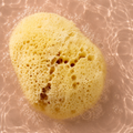 Image 3 for SilkGlow Gentle Body & Bath Natural Sea Sponge 5-5.5 Inches