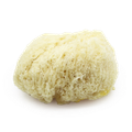 Image 1 for Deep Sea Luxe Body & Bath Natural Sea Sponge 5-5.5 Inches