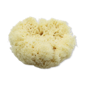 Image 1 for Deep Sea Luxe Body & Bath Natural Sea Sponge 6-6.5 Inches