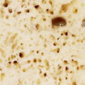 Image 2 for Deep Sea Luxe Body & Bath Natural Sea Sponge 6-6.5 Inches