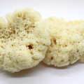 Image 3 for Deep Sea Luxe Body & Bath Natural Sea Sponge 6-6.5 Inches