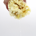 Image 5 for Deep Sea Luxe Body & Bath Natural Sea Sponge 6-6.5 Inches