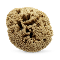 Image 1 for Deep Sea Pure Luxury Body & Bath Natural Sea Sponge 6-6.5 Inches