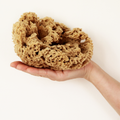 Image 4 for Deep Sea Pure Luxury Body & Bath Natural Sea Sponge 6-6.5 Inches