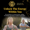 Image 4 for Cellular Energy Vegetable Capsules 300mg 28 Capsules