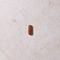 Image 3 for Astaxanthin & Blackcurrant - With AstaSuper® - 90 Vegan Capsules - 45 Servings
