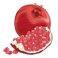Image 3 for 100% Natural Lip Balm Pomegranate 4.25g