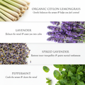 Image 5 for Peace - Soothing Balm Roll On 10ml