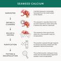 Image 5 for Calcium 60 x Capsules