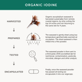 Image 5 for Organic Iodine 30 x Capsules