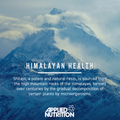 Image 4 for Pure Shilajit Capsules - 90 Capsules