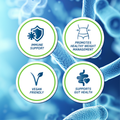 Image 4 for Probiotic - Advanced Multi -Strain Formula - 60 Capsules