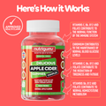 Image 5 for NUTRIGUMS APPLE CIDER COMPLEX 60 GUMMIES