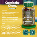 Image 4 for NUTRIGUMS RESCUE BEARS MIND & MOOD 60 GUMMIES