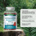 Image 2 for Ashwagandha 3000mg - Raspberry Flavour - 60 Vegan Gummies