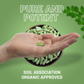 Image 4 for Organic Moringa 2000mg 120 Vegan Capsules