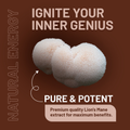 Image 3 for Lions Mane Mushroom Supplement 4000mg with Vitamin B1, B6, B12 & Black Pepper - 180 Super Strength Vegan Tablets