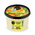Image 1 for Invigorating Body Cream Clementine & Lemon 250ml