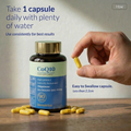 Image 4 for CoQ10 300mg High Strength Ubiquinone, Naturally Fermented for Energy & Heart Health 90 Capsules