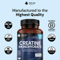 Image 5 for Creatine 360 Tablets