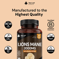 Image 4 for Lions Mane Tablets 365 Tablets
