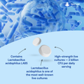 Image 4 for Probiotic Tablets 365 Tablets