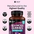 Image 3 for Sea Moss Gummies 180 Gummies