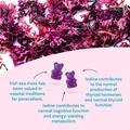 Image 4 for Sea Moss Gummies 180 Gummies