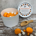 Image 3 for Scented Wax Melt - Warm Cashmere