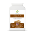Image 1 for Ashwagandha Plus 90 Capsules