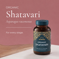 Image 3 for Organic Shatavari - 120 Capsules