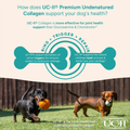 Image 5 for Collagen for Dogs 150 g