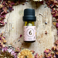 Image 2 for Eucalyptus Essential Oil 10ml – Organic
