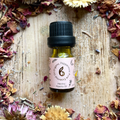 Image 2 for Peppermint Essential Oil 10ml – Organic