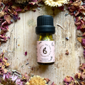 Image 2 for Tea Tree Essential Oil 10ml – Organic