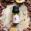 Image 2 for Sweet Orange Essential Oil 10ml – Organic