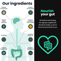 Image 3 for 3 in 1 Gut Health - 12 Billion Probiotics, 5 Digestive Enzymes, 6 Botanicals - 60 Capsules
