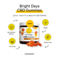 Image 2 for Gummy Duo CBD Bundle