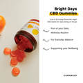 Image 3 for Gummy Duo CBD Bundle