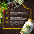Image 4 for Source of Life Garden Organic B Complex 60 Capsules