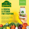Image 4 for Source of Life Garden Organic Folate 400 MCG 60 Vegan Capsules