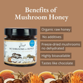 Image 4 for Organic Mushrooms in Honey 300g Lion's Mane, Reishi
