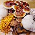 Image 5 for Organic Mushrooms in Honey 300g Lion's Mane, Reishi