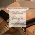 Image 4 for 100% Horse Hair Body Brush - Black Rose