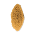 Image 3 for 100% Cactus Bristle Vegan Dry Body Brush - Magnolia
