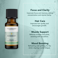 Image 4 for Rosemary Organic Essential Oil