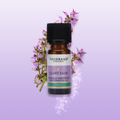 Image 5 for Clary Sage Essential Oil
