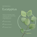 Image 5 for Awaken - Mint & Eucalyptus Bath & Shower Gel 250ml