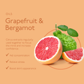 Image 4 for Uplift - Bergamot & Grapefruit Hand & Body Lotion