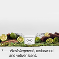 Image 2 for Natural Deodorant Refill Wilderness 40g